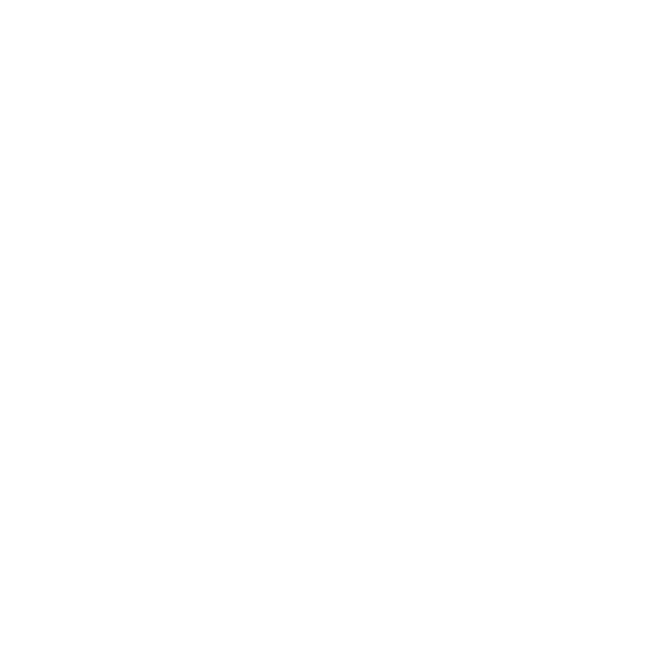 SALITOS - Logo vintage - white
